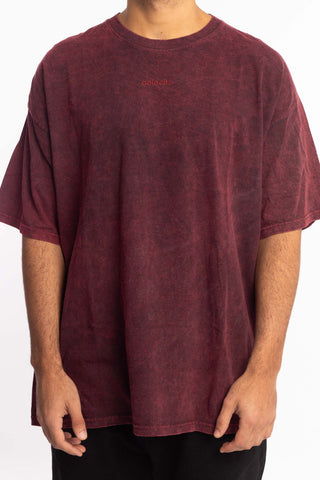 Polera oversize Logo